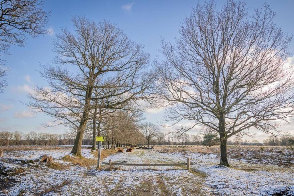 فيلا Leva - Logeren In Drenthe Doldersum المظهر الخارجي الصورة
