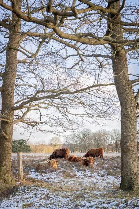 فيلا Leva - Logeren In Drenthe Doldersum المظهر الخارجي الصورة